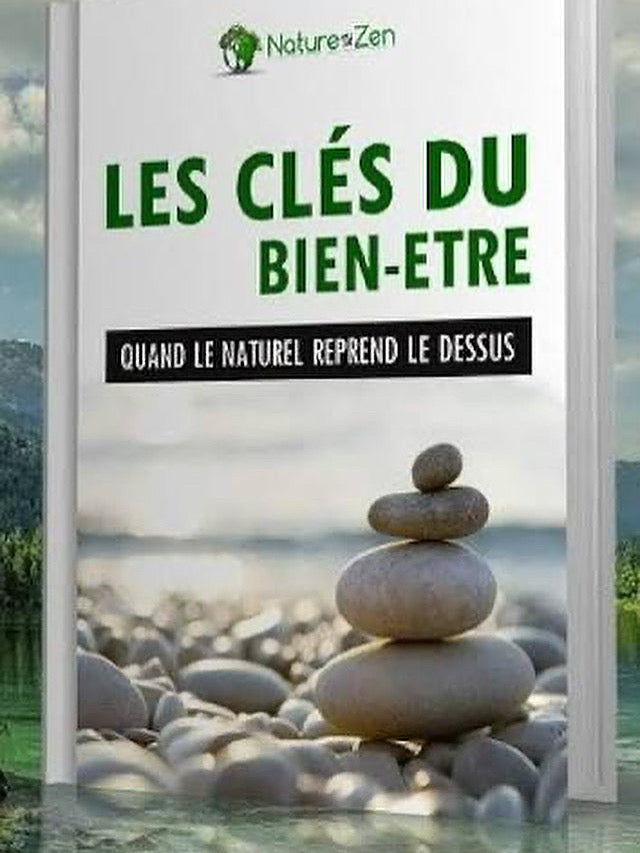 Ebook sur la méditation