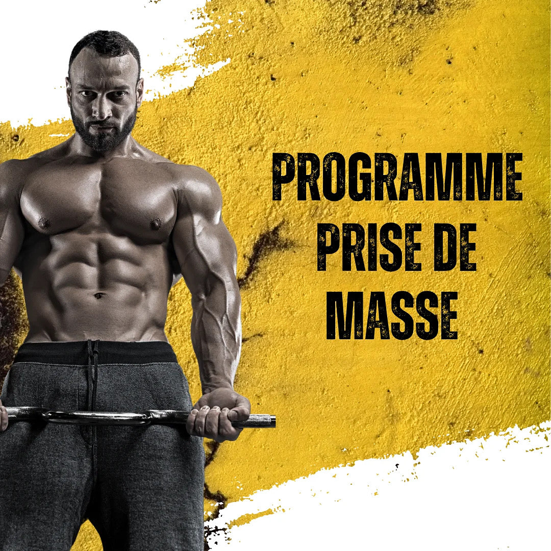 Ebook en musculation